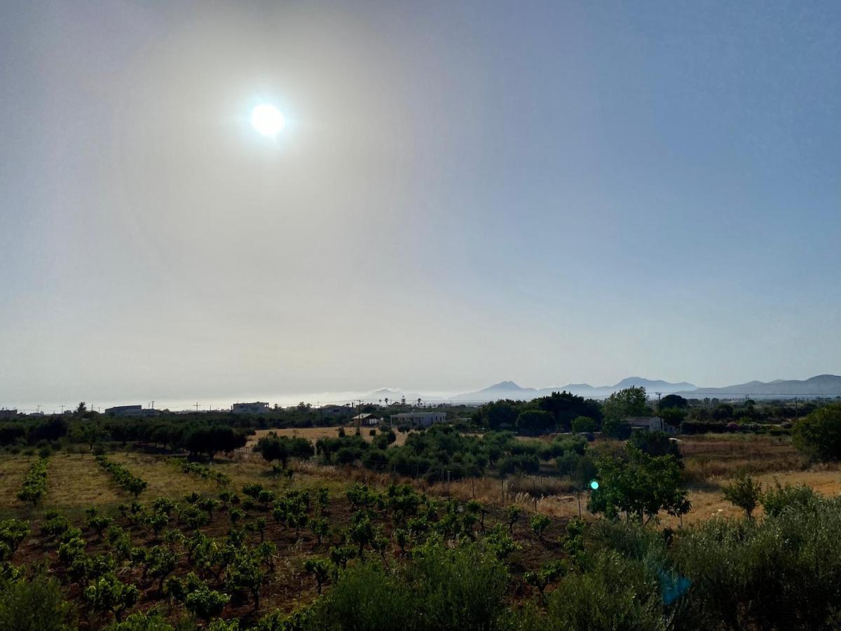 Sunset View Apartment, In The Nature, At Zipari "6" Ziparion Exterior photo